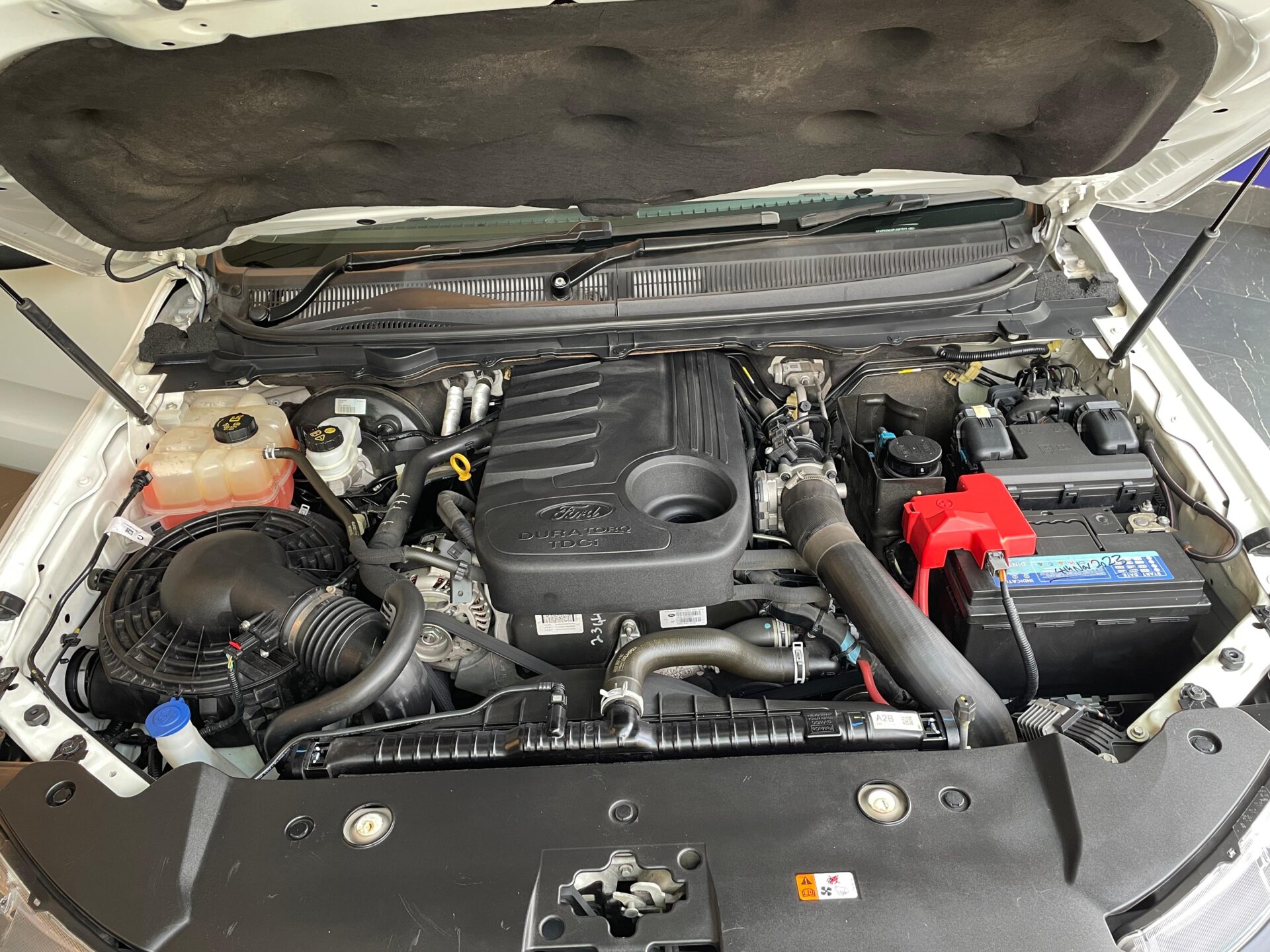 FORD RANGER DOUBLE-CAB 3.2A XLT